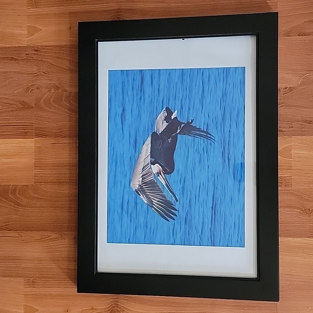 Local Photographer.Framed photo wall hanging.Beautiful frame  16 X 22